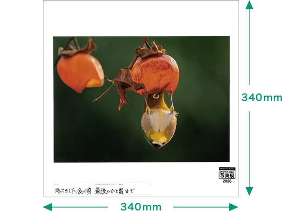 [Image]お気に入りの1枚