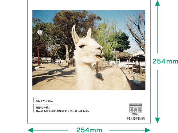 [Image]フィルムだから出会えた1枚