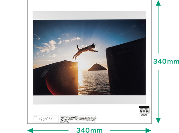 [Image]わたしのイチオシ！