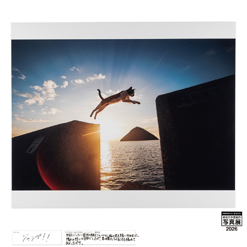 [Image]見せたい！わたしのイチオシ！