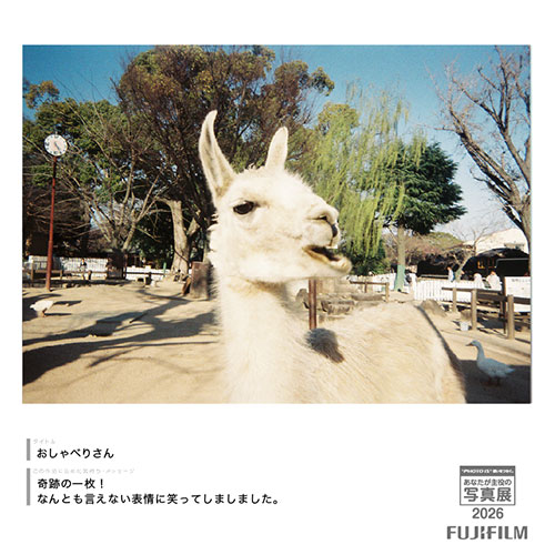 [Image]フィルムだから出会えた1枚