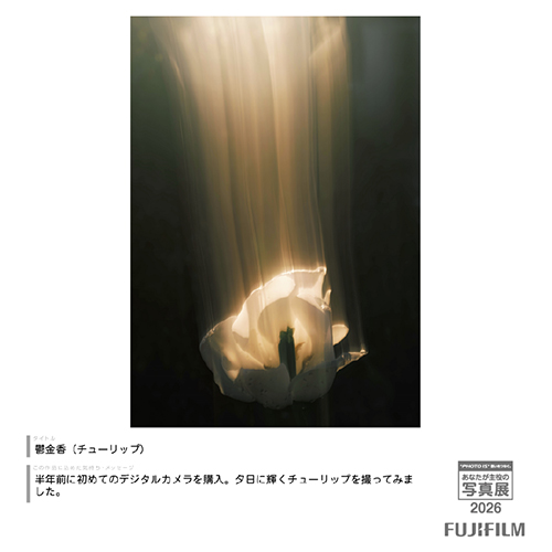 [Image]見せたい！わたしのイチオシ！