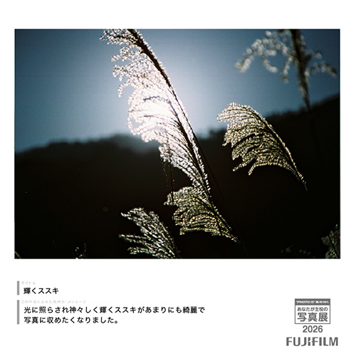 [Image]フィルムだから出会えた1枚