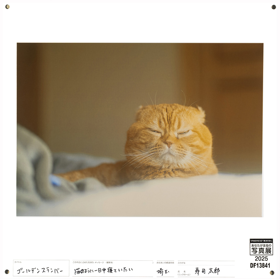 [Image]作品5