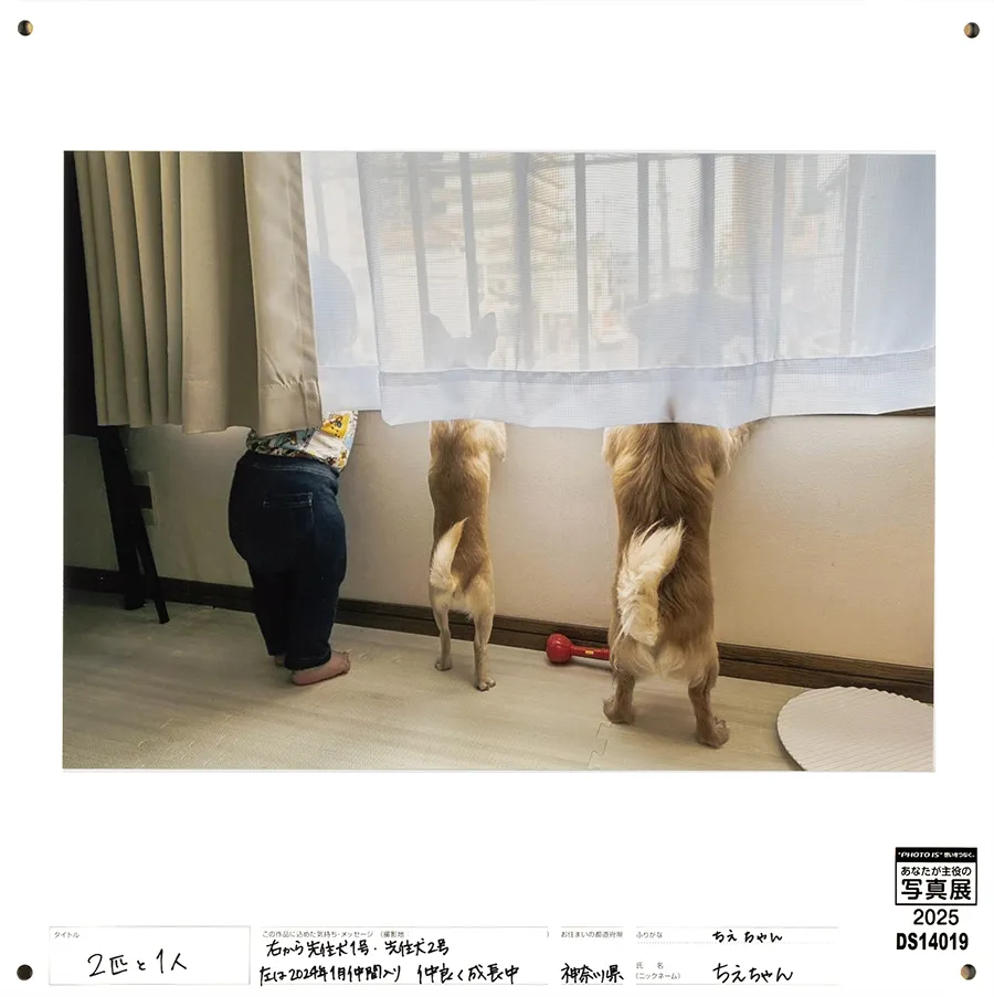 [Image]作品4