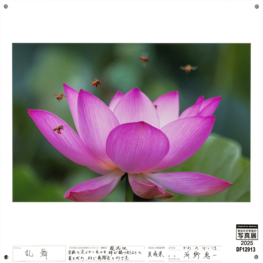 [Image]作品5