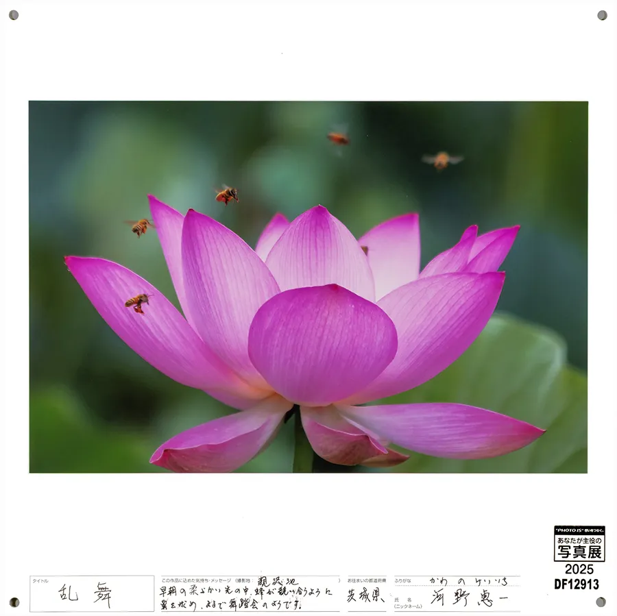 [Image]作品5