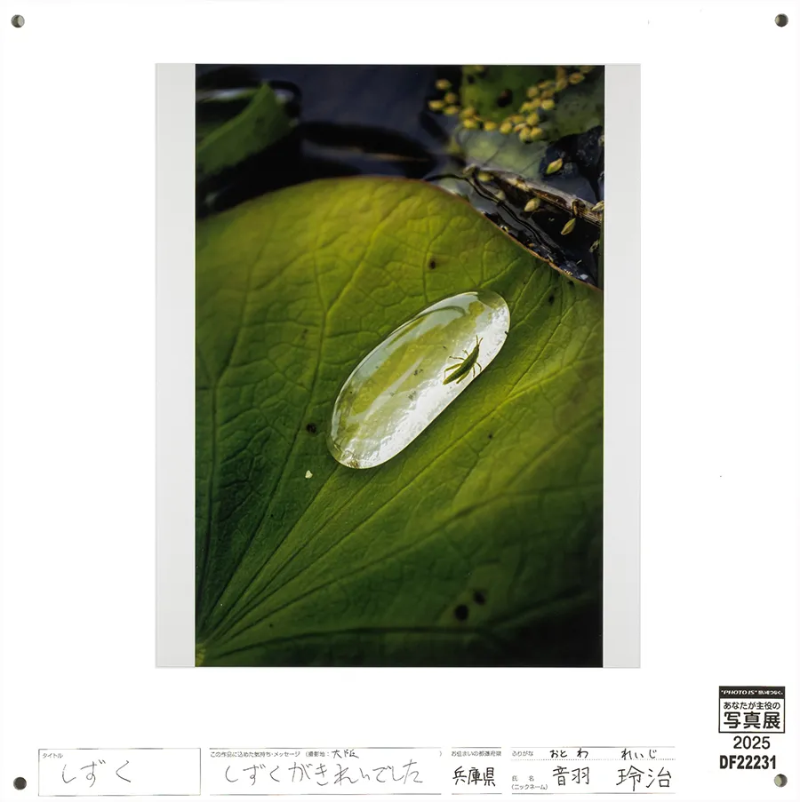 [Image]作品7