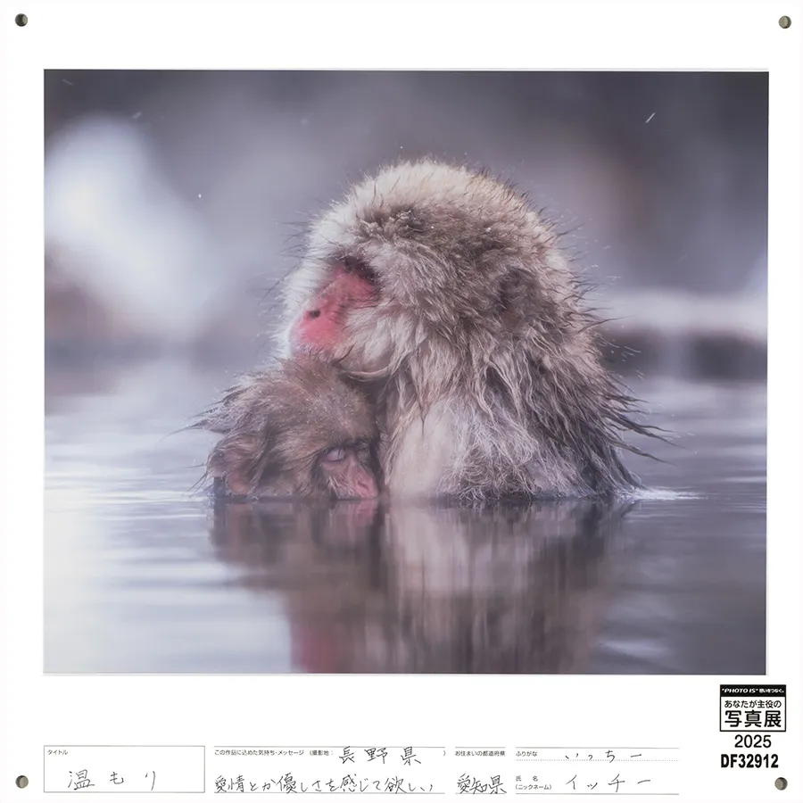 [Image]作品9