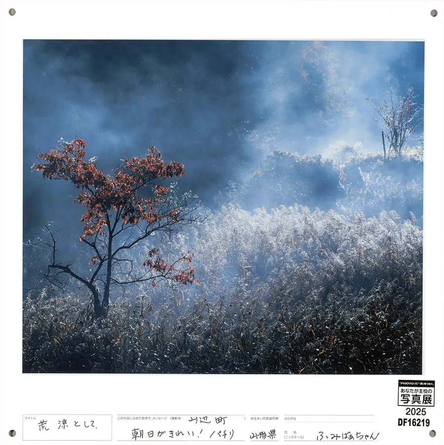[Image]作品3