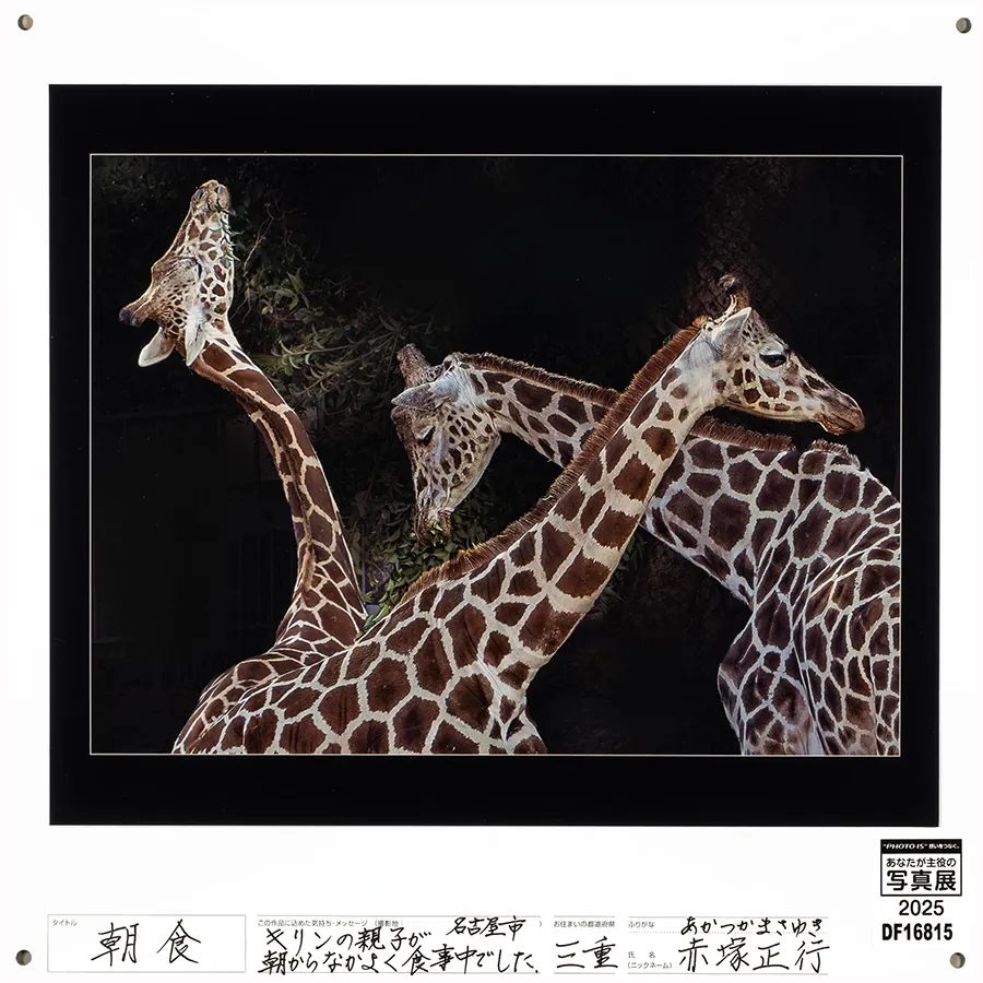 [Image]作品2