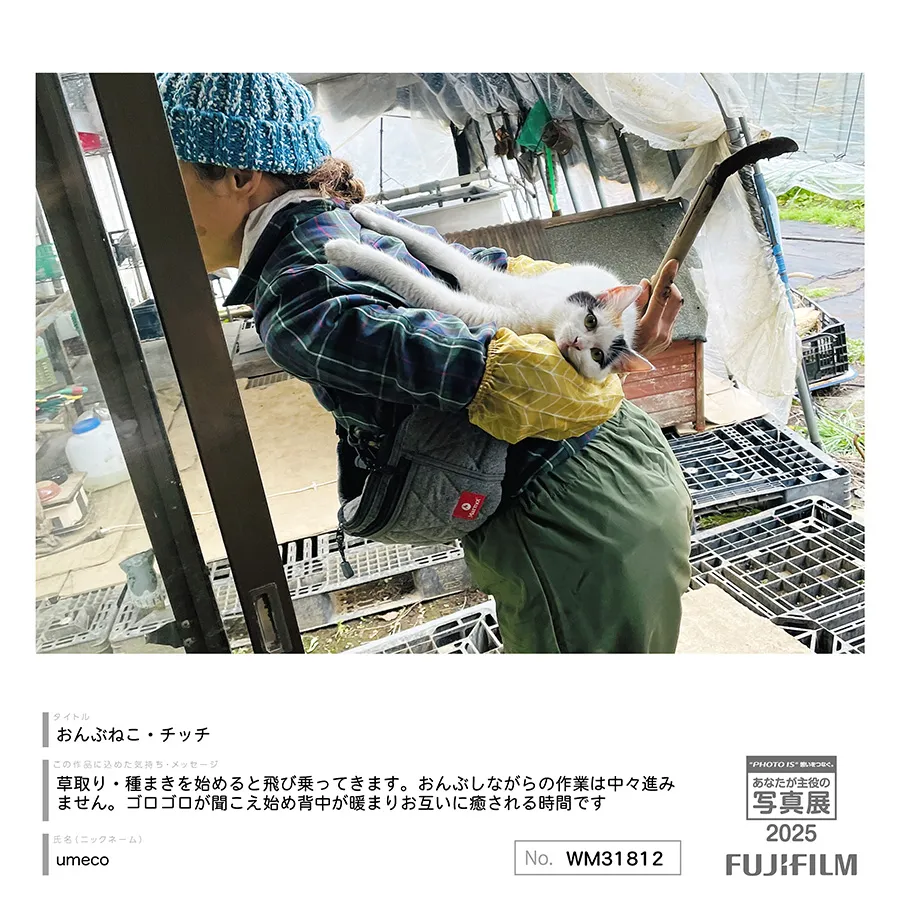 [Image]作品10