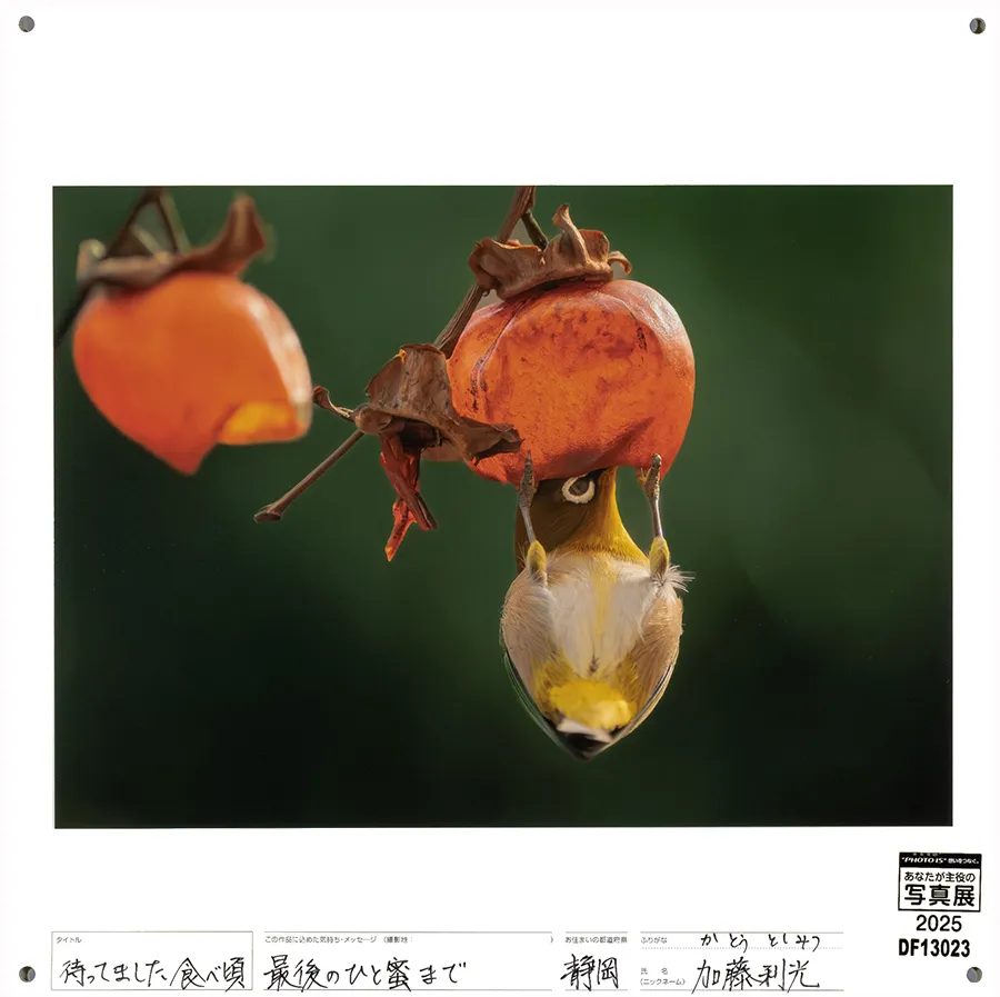 [Image]作品3