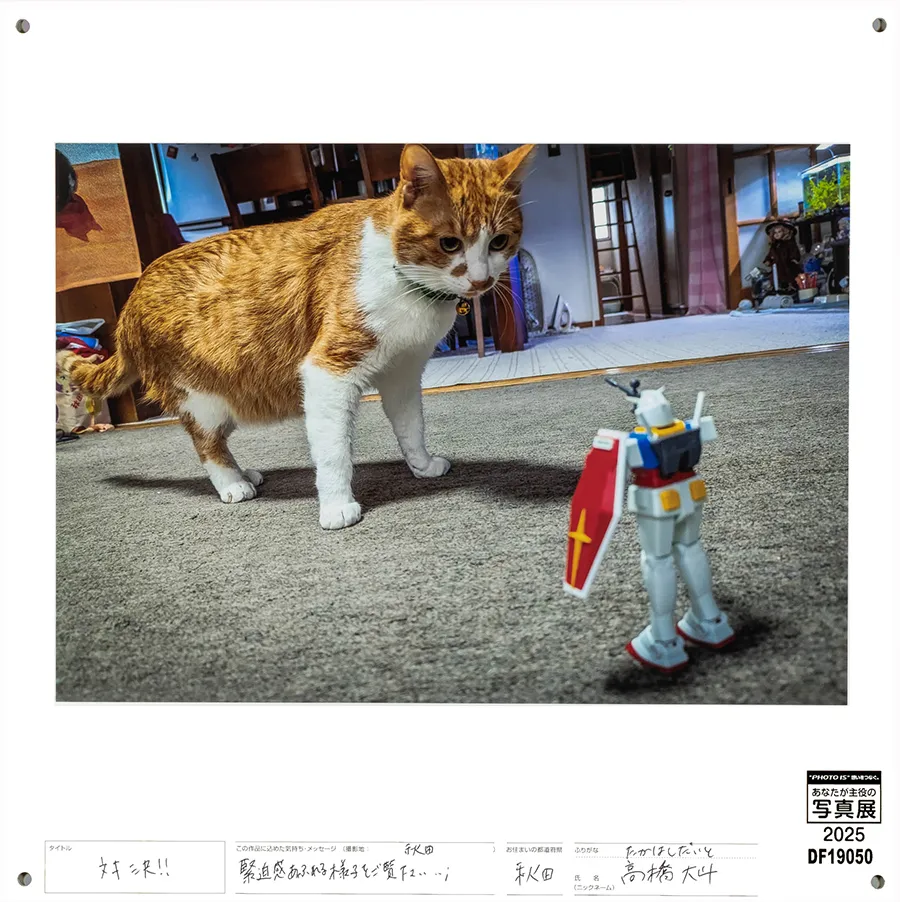 [Image]作品2