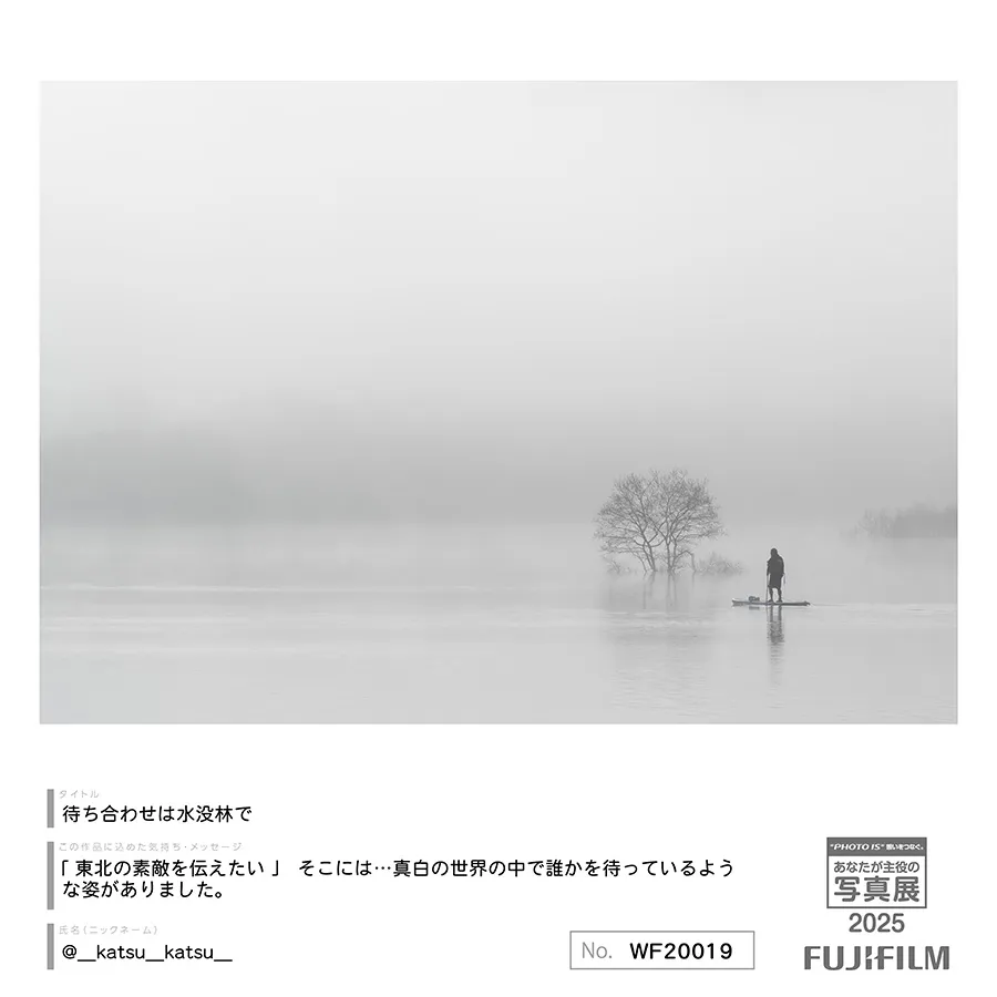 [Image]作品9