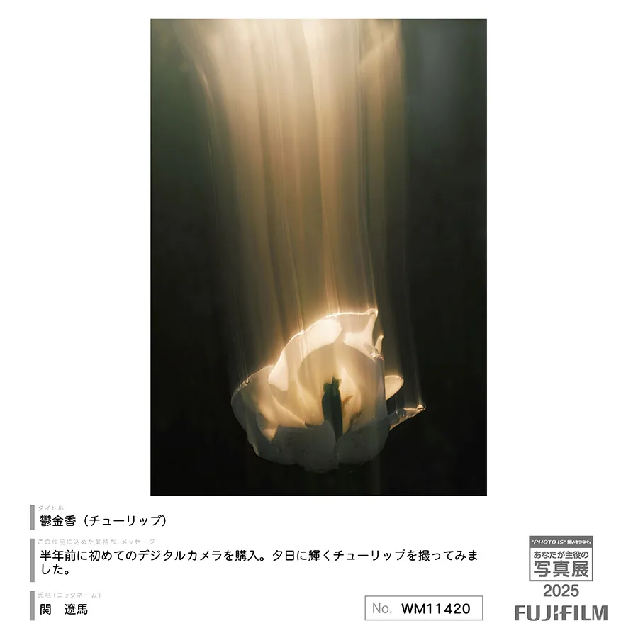 [Image]作品8
