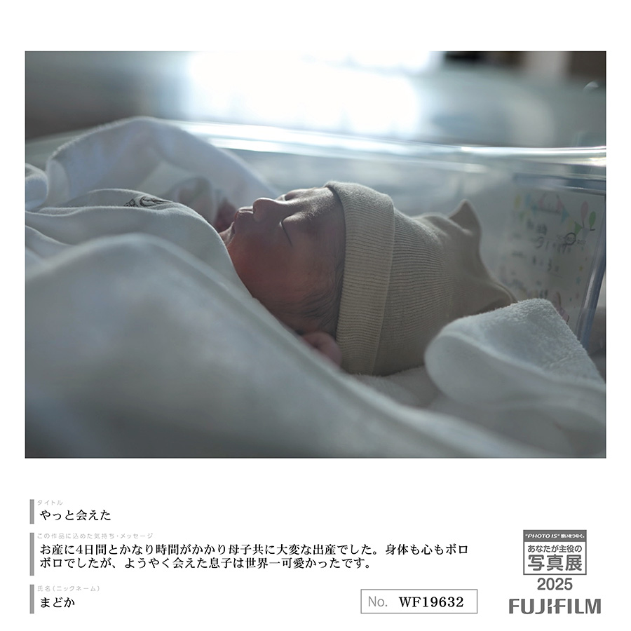 [Image]作品8