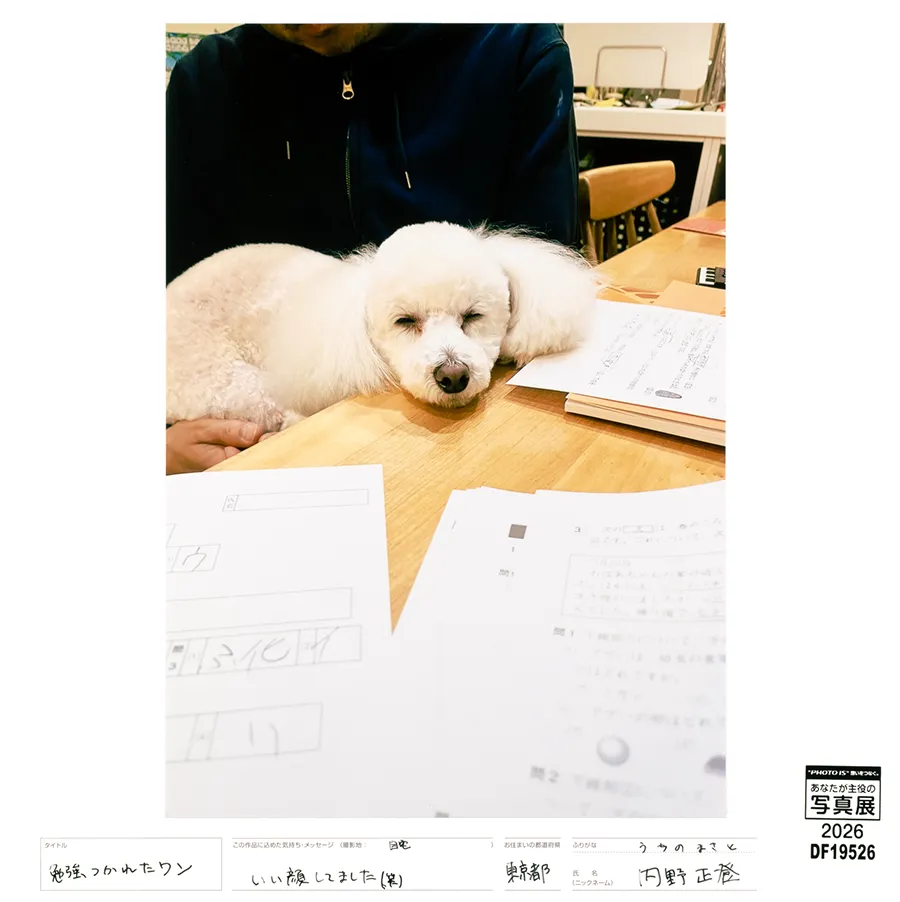 [Image]作品4