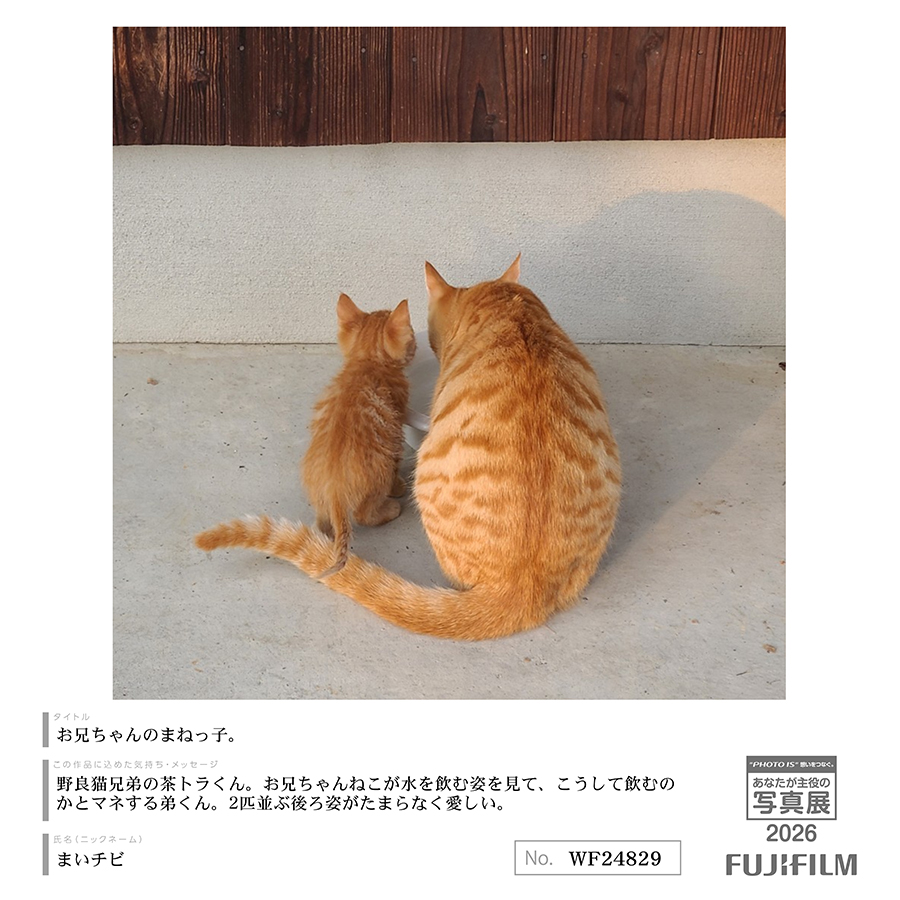 [Image]作品9