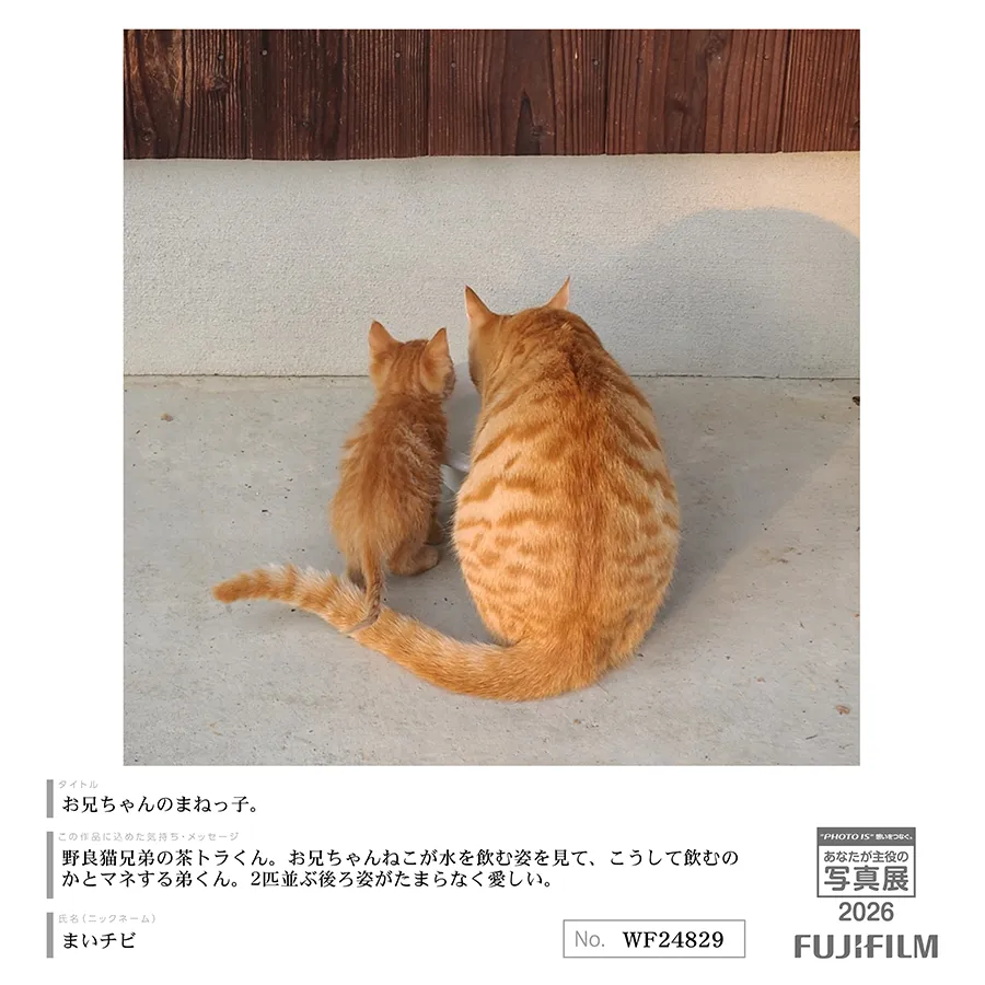 [Image]作品9