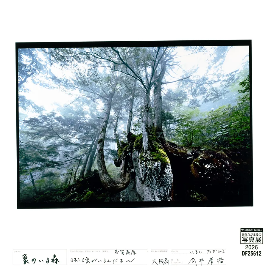 [Image]作品7
