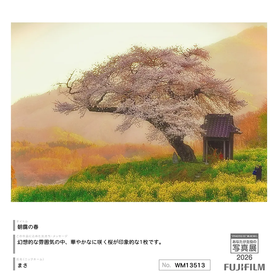 [Image]作品9