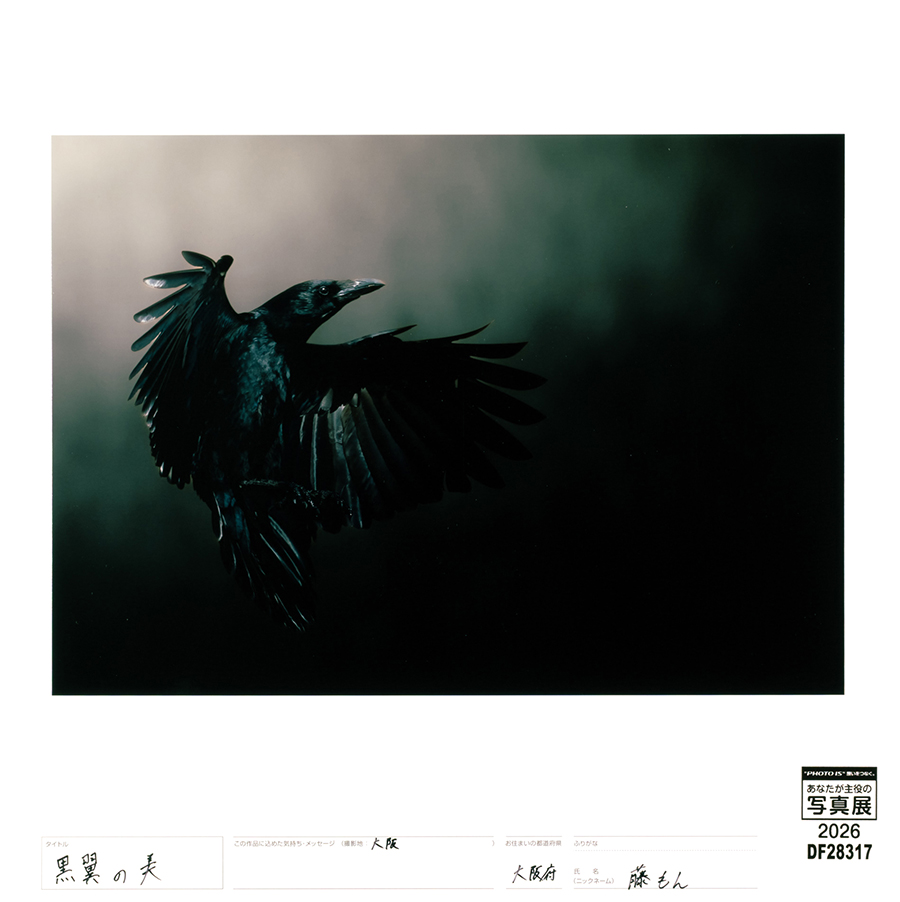 [Image]作品6
