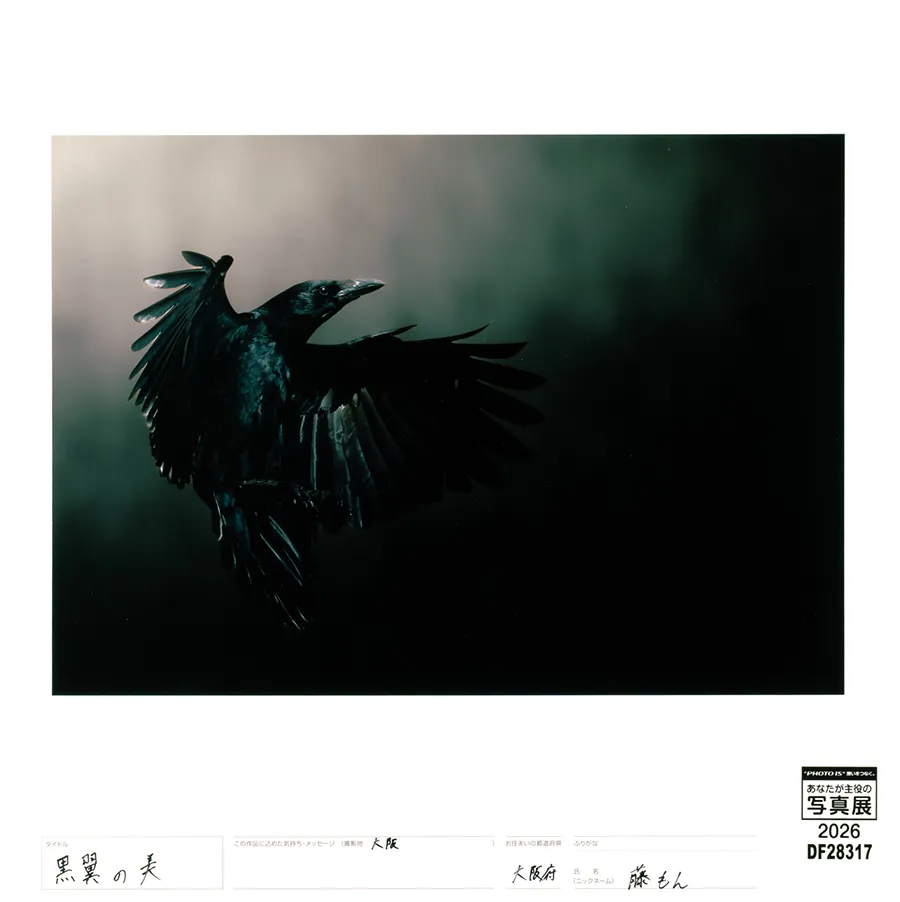 [Image]作品6