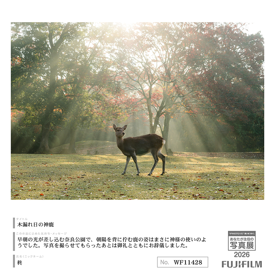 [Image]作品9