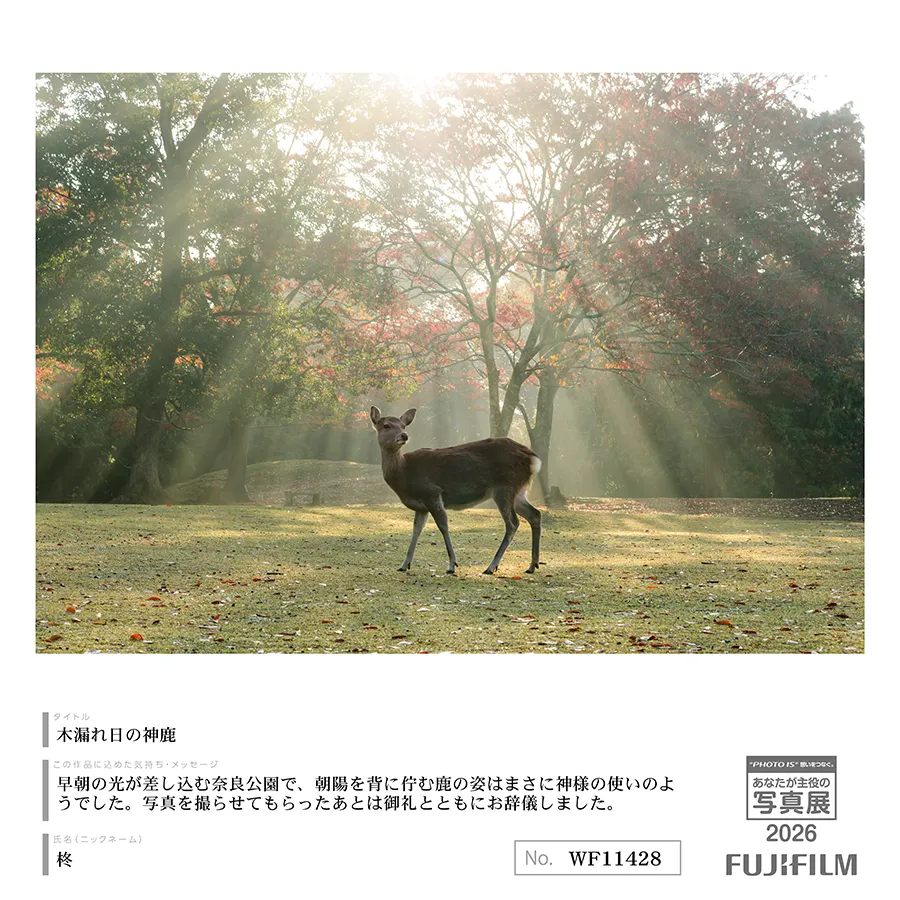 [Image]作品9