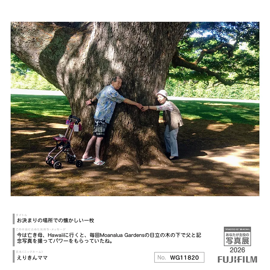 [Image]作品8