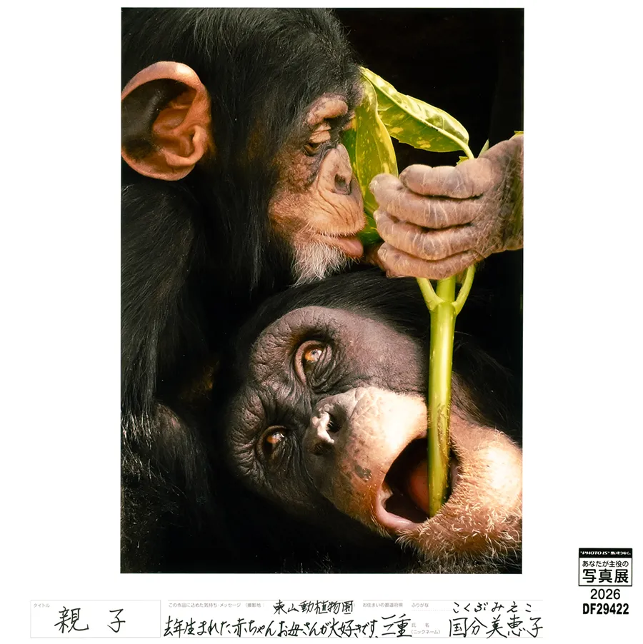 [Image]作品1