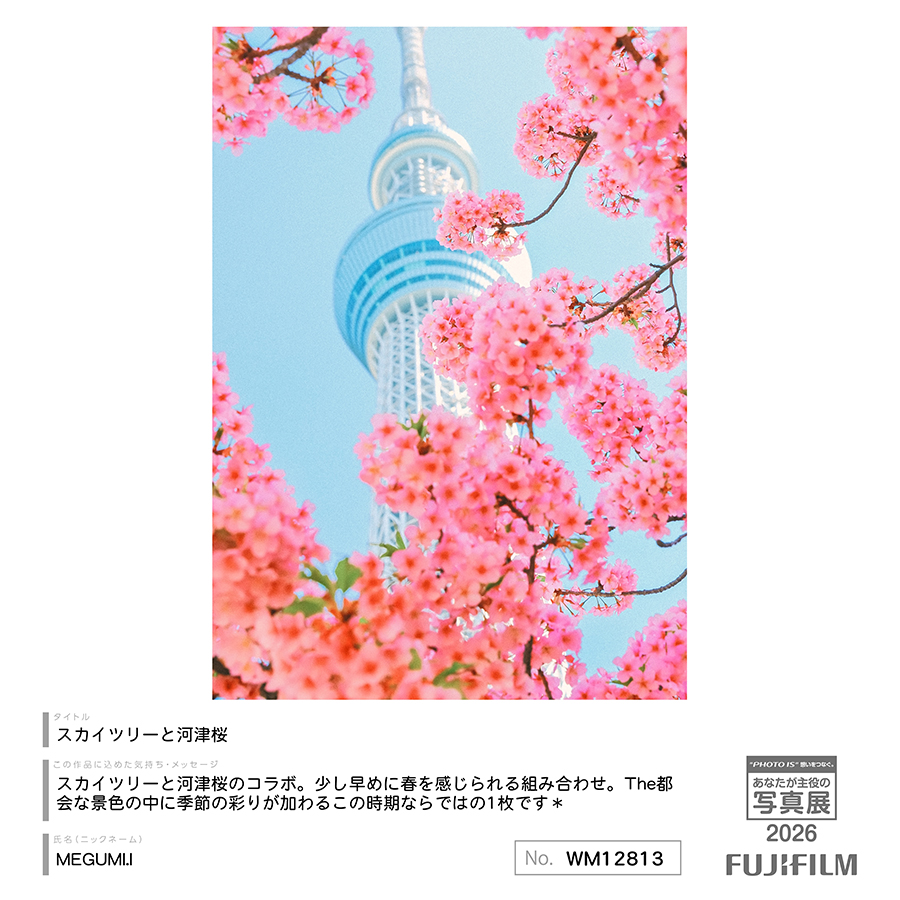 [Image]作品7