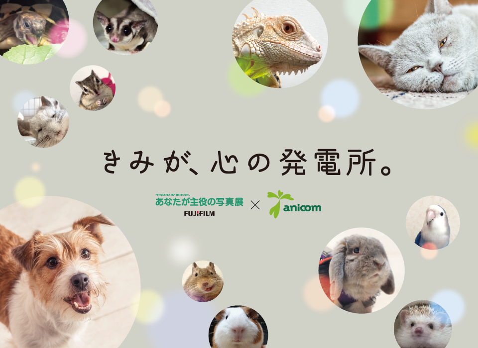 きみが、こころの発電所。