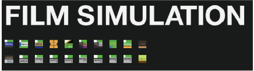 FILM SIMULATION