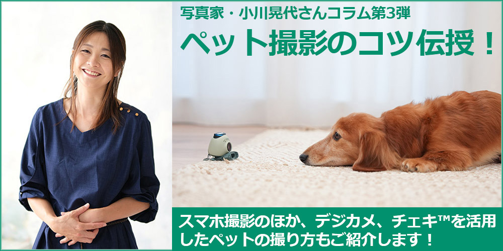 ペット撮影のコツ伝授!