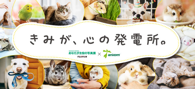[banner]あなたが主役の写真展×アニコム　きみが、心の発電所。