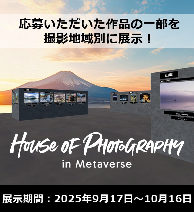 House of Photography in Metaverse